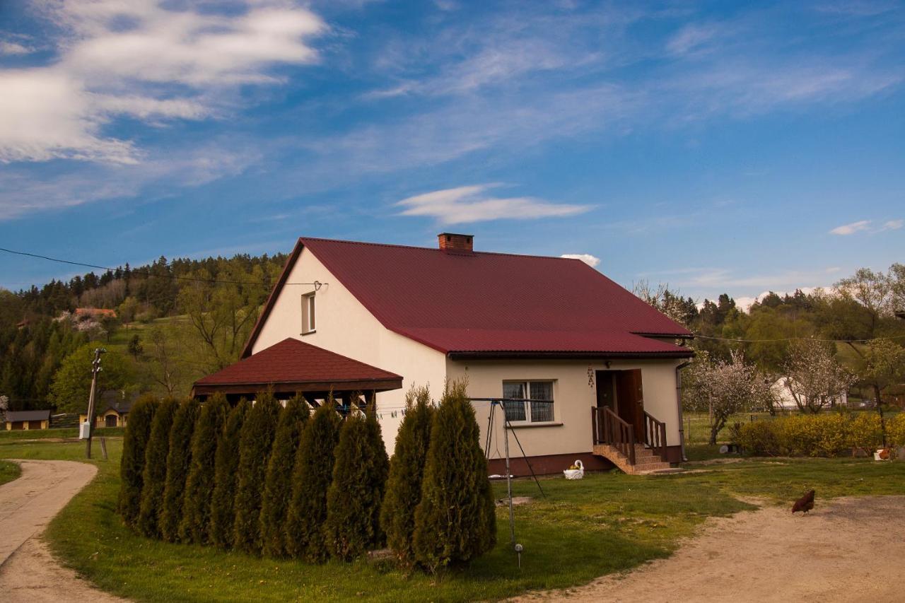 U Jadzi Pogorze Przemyskie Bircza Esterno foto